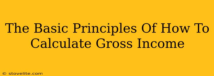 The Basic Principles Of How To Calculate Gross Income