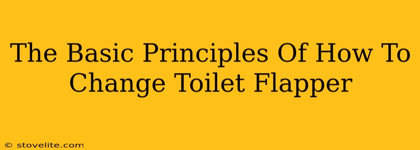 The Basic Principles Of How To Change Toilet Flapper