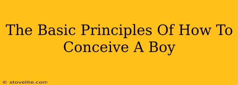 The Basic Principles Of How To Conceive A Boy