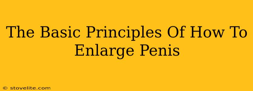 The Basic Principles Of How To Enlarge Penis