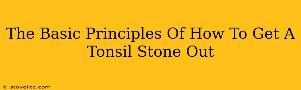 The Basic Principles Of How To Get A Tonsil Stone Out