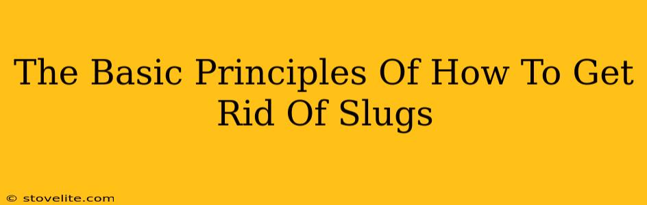 The Basic Principles Of How To Get Rid Of Slugs