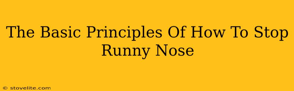 The Basic Principles Of How To Stop Runny Nose