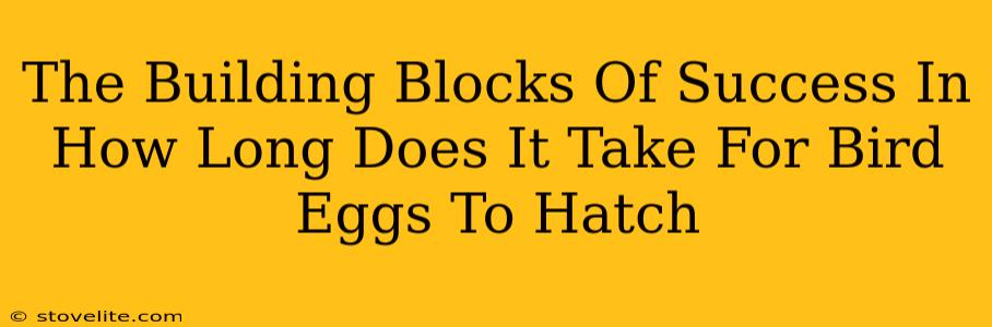 The Building Blocks Of Success In How Long Does It Take For Bird Eggs To Hatch
