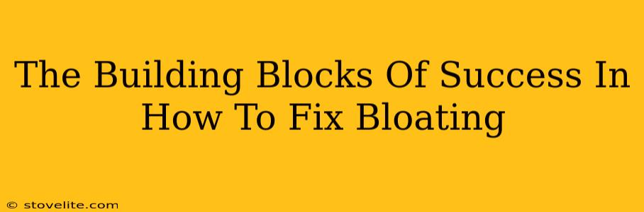 The Building Blocks Of Success In How To Fix Bloating