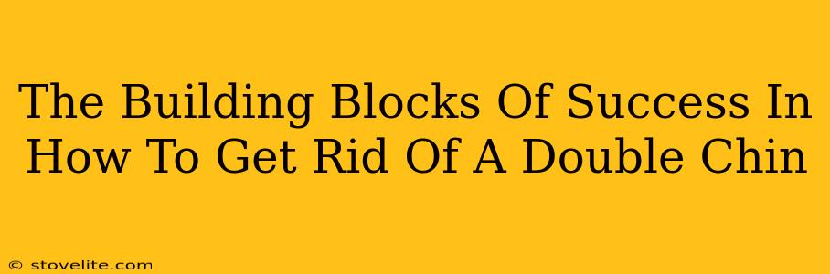 The Building Blocks Of Success In How To Get Rid Of A Double Chin