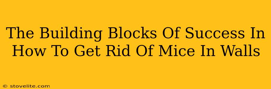 The Building Blocks Of Success In How To Get Rid Of Mice In Walls