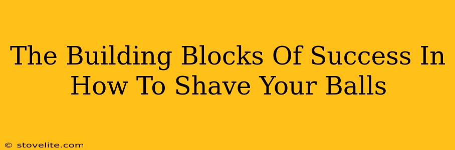 The Building Blocks Of Success In How To Shave Your Balls