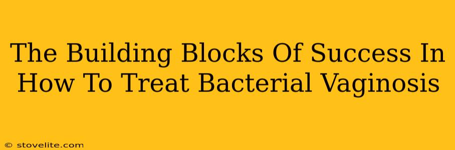 The Building Blocks Of Success In How To Treat Bacterial Vaginosis