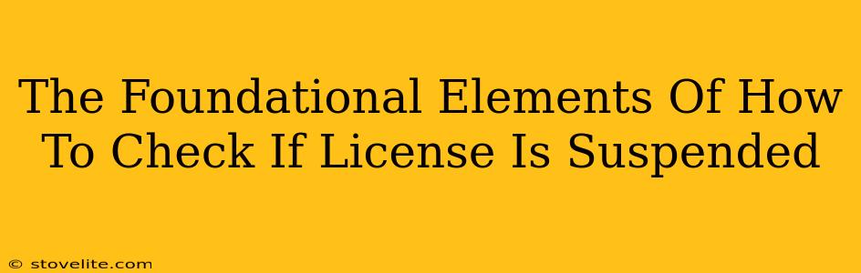 The Foundational Elements Of How To Check If License Is Suspended