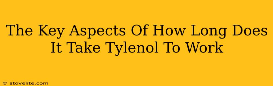 The Key Aspects Of How Long Does It Take Tylenol To Work