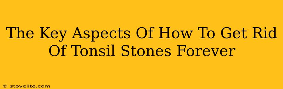 The Key Aspects Of How To Get Rid Of Tonsil Stones Forever