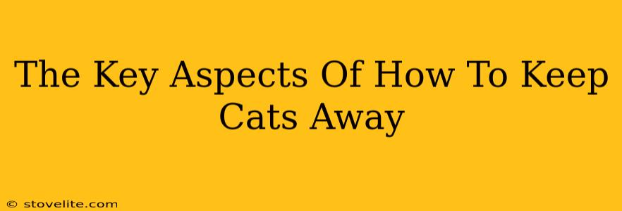 The Key Aspects Of How To Keep Cats Away