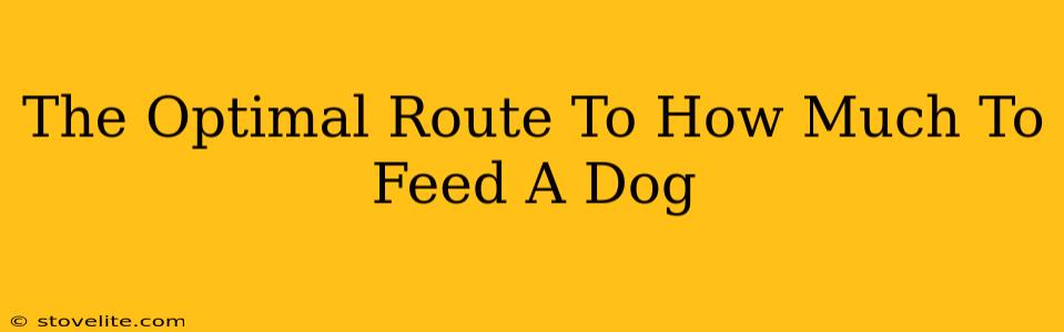 The Optimal Route To How Much To Feed A Dog