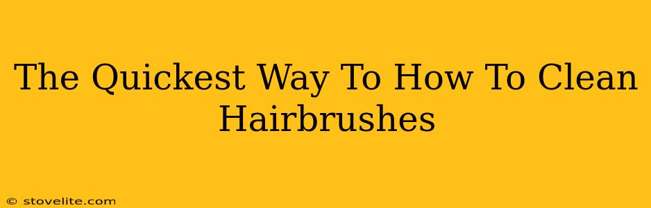 The Quickest Way To How To Clean Hairbrushes