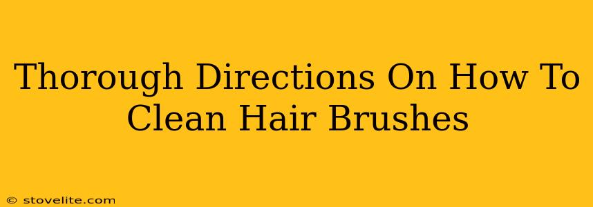 Thorough Directions On How To Clean Hair Brushes