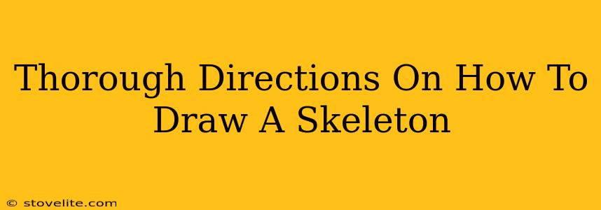 Thorough Directions On How To Draw A Skeleton