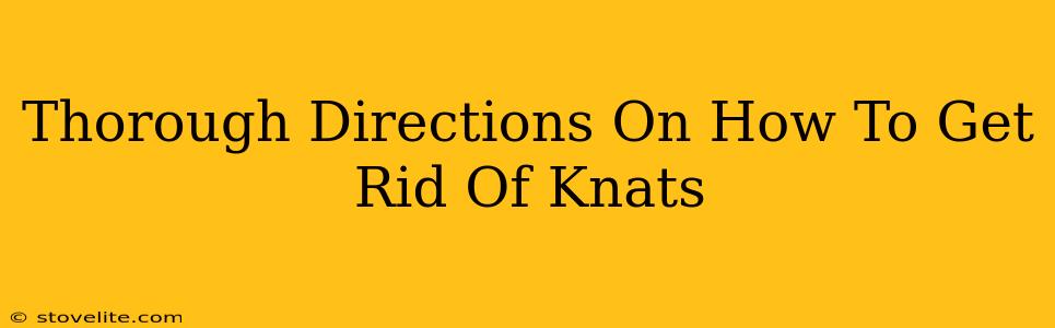 Thorough Directions On How To Get Rid Of Knats