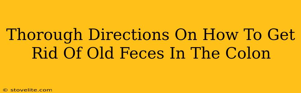 Thorough Directions On How To Get Rid Of Old Feces In The Colon