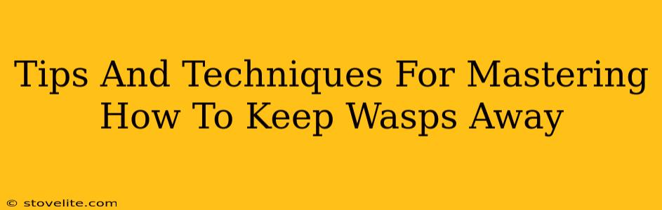 Tips And Techniques For Mastering How To Keep Wasps Away