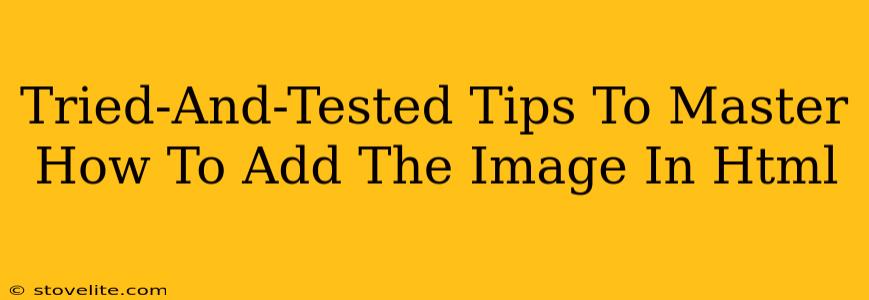 Tried-And-Tested Tips To Master How To Add The Image In Html