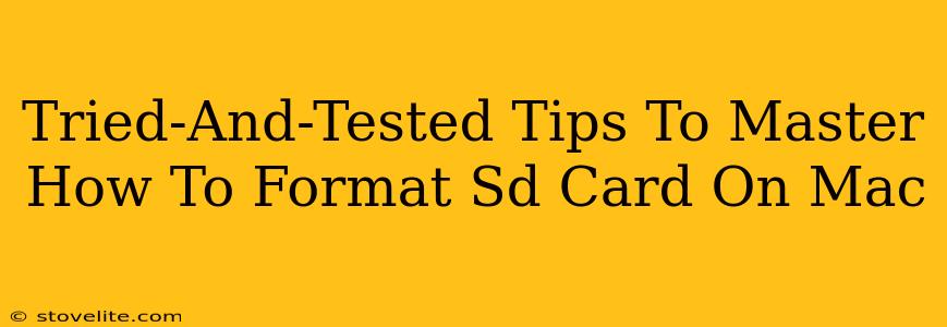 Tried-And-Tested Tips To Master How To Format Sd Card On Mac