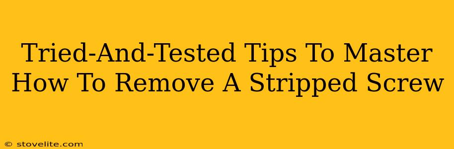 Tried-And-Tested Tips To Master How To Remove A Stripped Screw