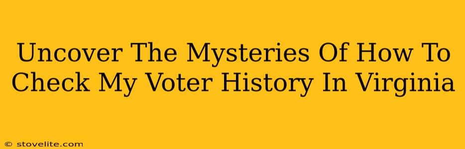 Uncover The Mysteries Of How To Check My Voter History In Virginia