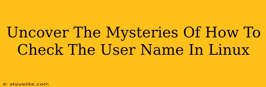 Uncover The Mysteries Of How To Check The User Name In Linux