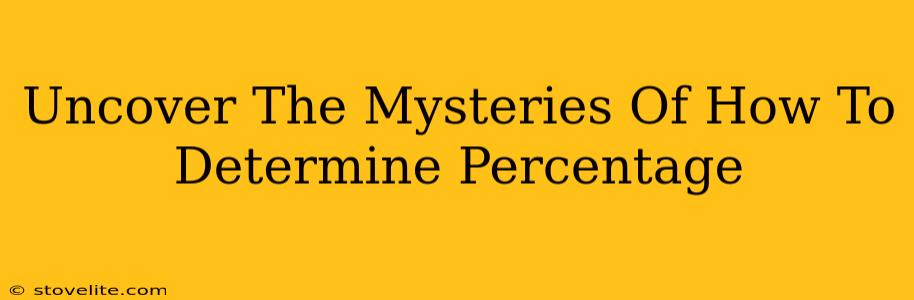 Uncover The Mysteries Of How To Determine Percentage