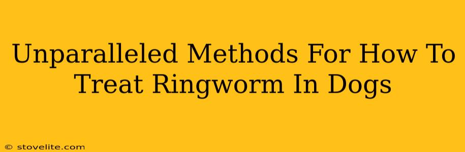 Unparalleled Methods For How To Treat Ringworm In Dogs