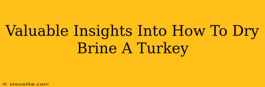 Valuable Insights Into How To Dry Brine A Turkey