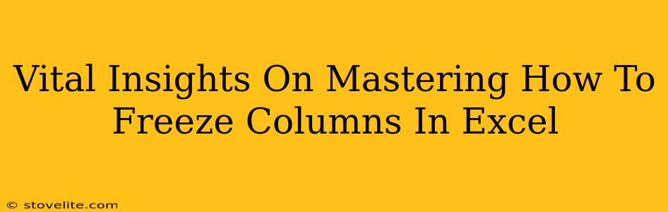 Vital Insights On Mastering How To Freeze Columns In Excel