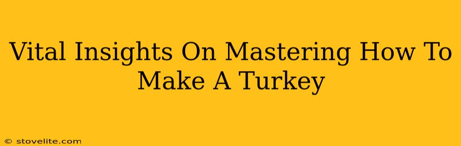 Vital Insights On Mastering How To Make A Turkey