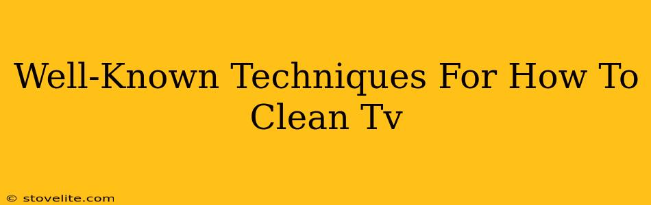 Well-Known Techniques For How To Clean Tv