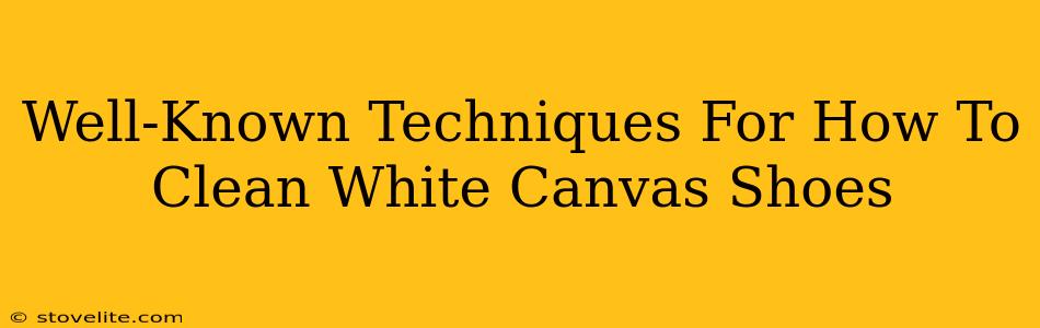 Well-Known Techniques For How To Clean White Canvas Shoes