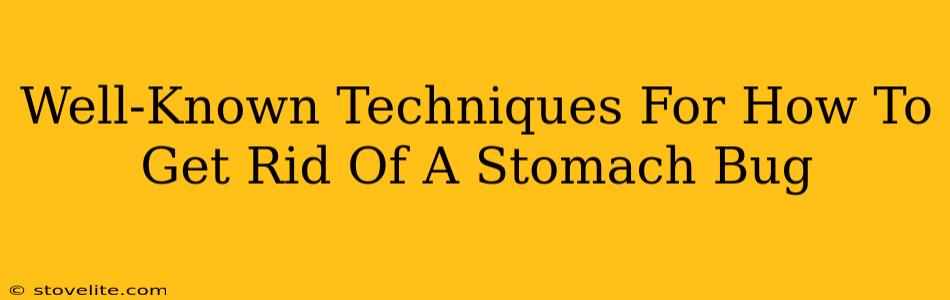 Well-Known Techniques For How To Get Rid Of A Stomach Bug